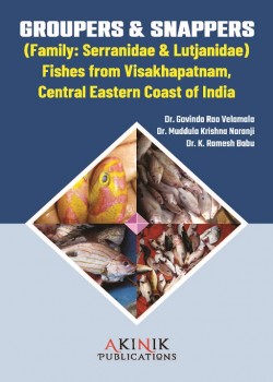 Groupers & Snappers (Family: Serranidae & Lutjanidae) Fishes from Visakhapatnam, Central Eastern Coast of India