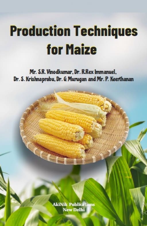 research papers on maize production